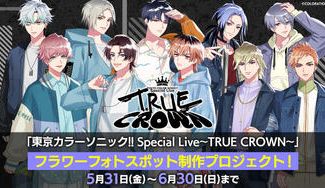 クラウドファンディングプロジェクト：東京カラーソニック!! フラワーフォトスポット制作