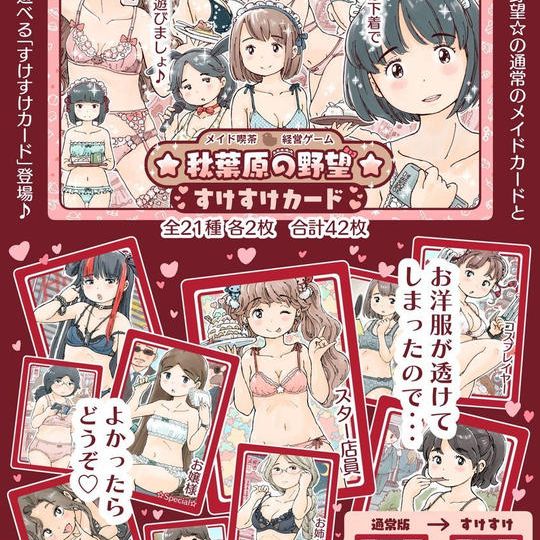 『☆秋葉原の野望☆』基本＋すけすけセット