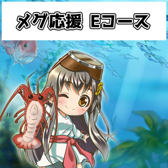 【メグ応援 Eコース】
