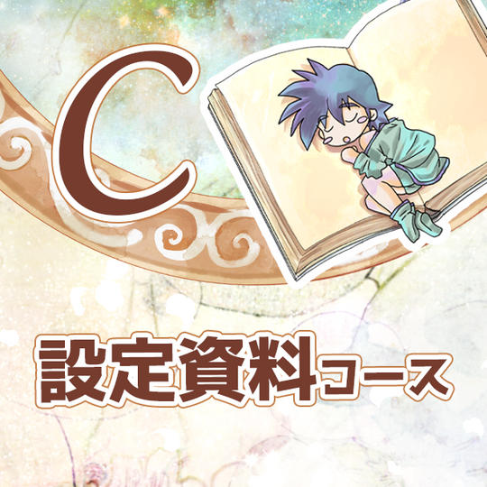 C 設定資料コース