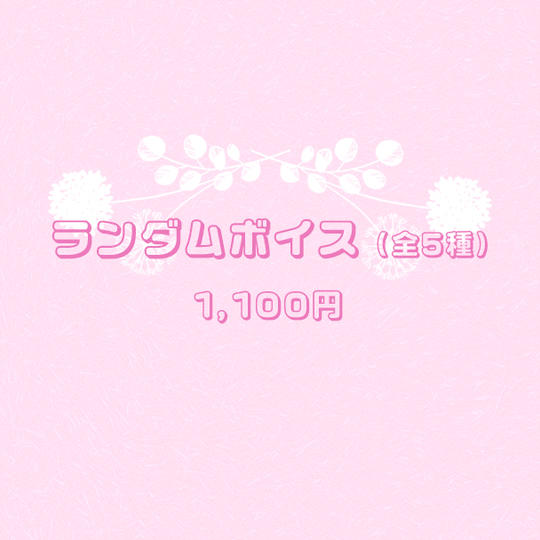 ランダムボイス