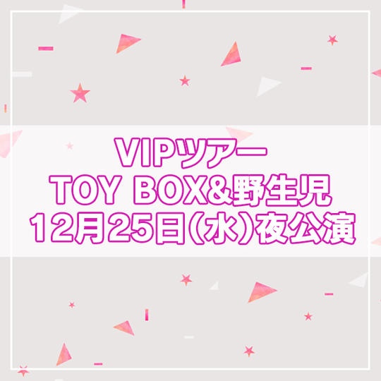 【限定4名】VIPツアー TOY BOX&野生児 2024年12月25日(水)夜公演