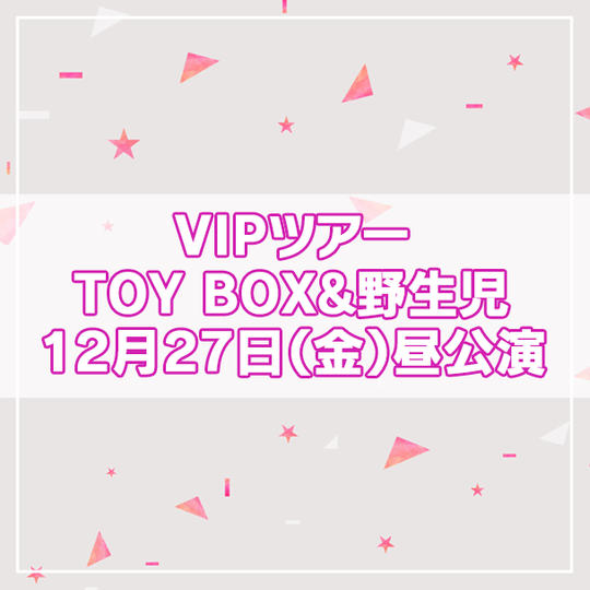 【限定4名】VIPツアー TOY BOX&野生児 2024年12月27日(金)昼公演