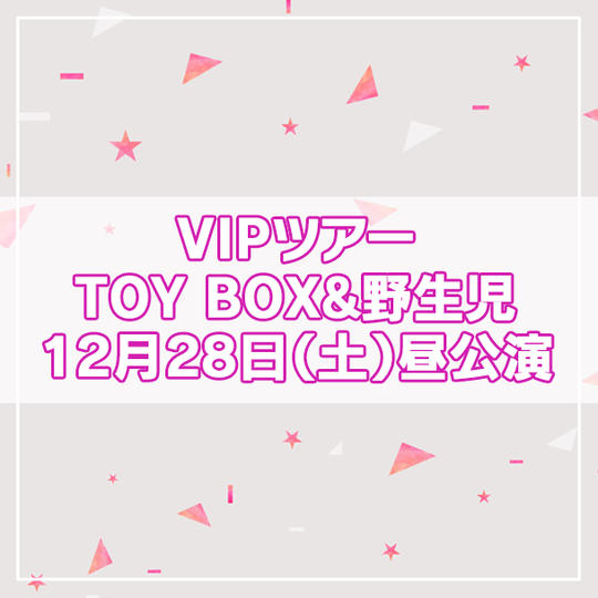 【限定4名】VIPツアー TOY BOX&野生児 2024年12月28日(土)昼公演
