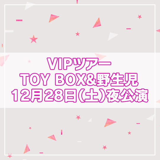 【限定4名】VIPツアー TOY BOX&野生児 2024年12月28日(土)夜公演