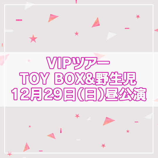 【限定4名】VIPツアー TOY BOX&野生児 2024年12月29日(日)昼公演