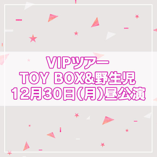 【限定4名】VIPツアー TOY BOX&野生児 2024年12月30日(月)昼公演