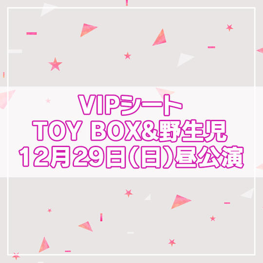 【限定13名】VIPシート TOY BOX&野生児 2024年12月29日(日)昼公演