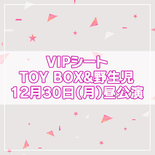 【限定13名】VIPシート TOY BOX&野生児 2024年12月30日(月)昼公演