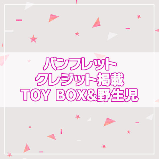 【限定200名】パンフレットクレジット掲載 TOY BOX&野生児