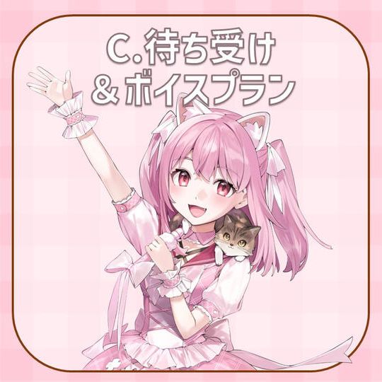 C.待ち受け＆ボイスプラン