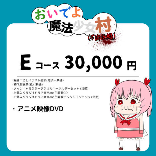 【E】コース(¥30,000)