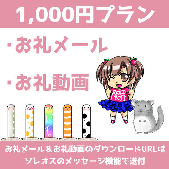 ★1000円プラン
