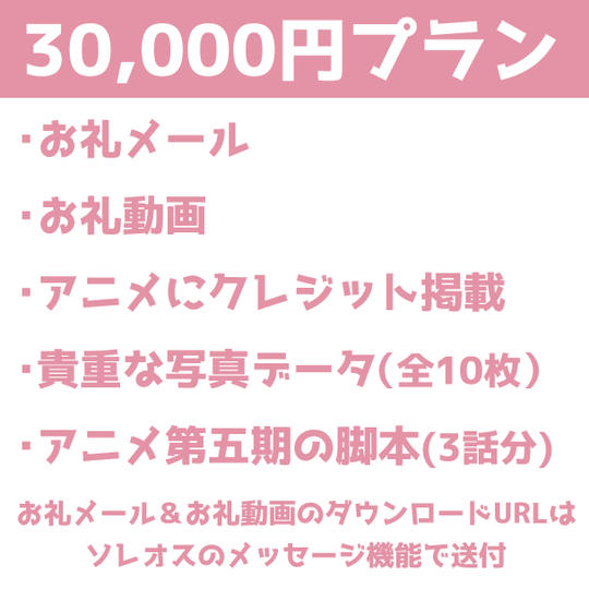 ★30,000円プラン