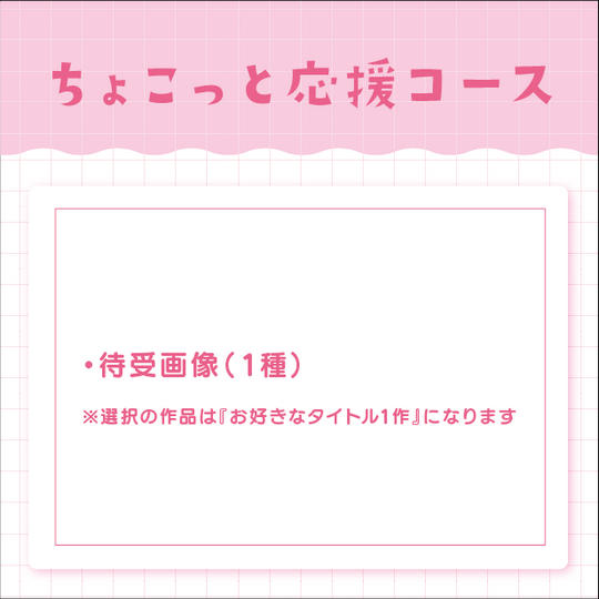 ちょこっと応援コース