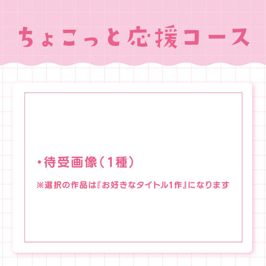 ちょこっと応援コース
