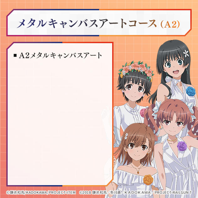 【数量限定】A2メタルキャンバスアートコース