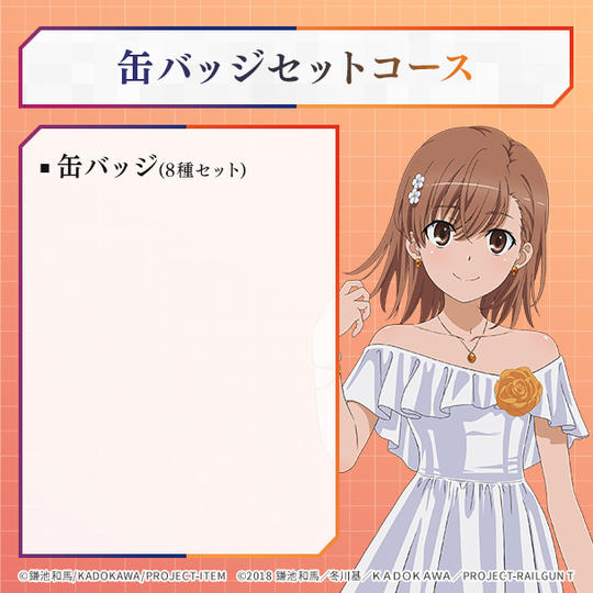 缶バッジ　セットコース