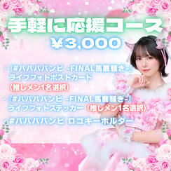 手軽に応援コース（¥3,000）