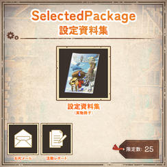 Selected Package -設定資料集-