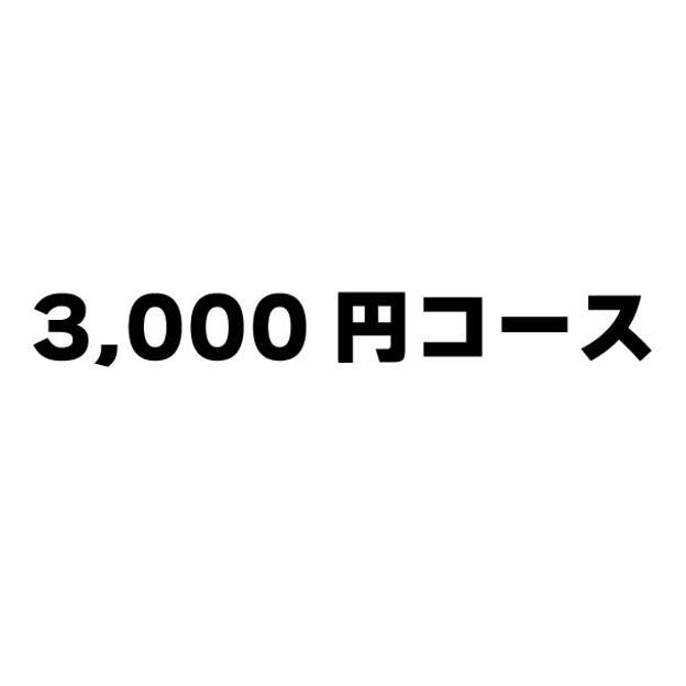 3000円コース